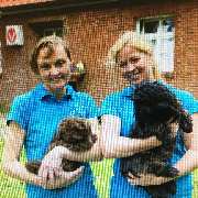 Kirstin Stolte Tierarztpraxis - GALLERY