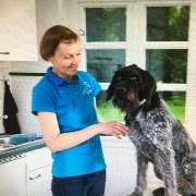 Kirstin Stolte Tierarztpraxis - GALLERY