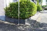 Kissener's Gartenmarkt - Kissener's Gartenmarkt & Garten-,  Landschaftsbau und Zaunanlagen