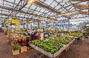 Kissener's Gartenmarkt - Kissener's Gartenmarkt & Garten-,  Landschaftsbau und Zaunanlagen