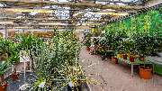 Kissener's Gartenmarkt - Kissener's Gartenmarkt & Garten-,  Landschaftsbau und Zaunanlagen