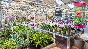 Kissener's Gartenmarkt - Kissener's Gartenmarkt & Garten-,  Landschaftsbau und Zaunanlagen