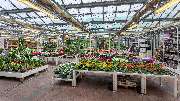 Kissener's Gartenmarkt - Kissener's Gartenmarkt & Garten-,  Landschaftsbau und Zaunanlagen