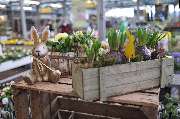 Kissener's Gartenmarkt - Kissener's Gartenmarkt & Garten-,  Landschaftsbau und Zaunanlagen