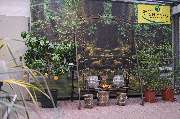 Kissener's Gartenmarkt - Kissener's Gartenmarkt & Garten-,  Landschaftsbau und Zaunanlagen