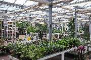 Kissener's Gartenmarkt - Kissener's Gartenmarkt & Garten-,  Landschaftsbau und Zaunanlagen