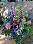 Kitzinger Blumen und Pflanzen - GALLERY