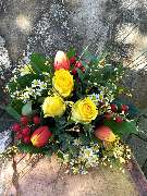 Kitzinger Blumen und Pflanzen - GALLERY