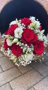 Kitzinger Blumen und Pflanzen - GALLERY