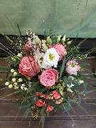 Kitzinger Blumen und Pflanzen - GALLERY