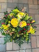 Kitzinger Blumen und Pflanzen - GALLERY