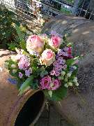 Kitzinger Blumen und Pflanzen - GALLERY