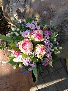 Kitzinger Blumen und Pflanzen - GALLERY