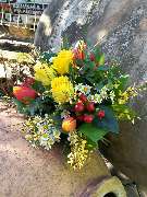 Kitzinger Blumen und Pflanzen - GALLERY