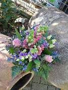 Kitzinger Blumen und Pflanzen - GALLERY