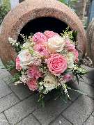 Kitzinger Blumen und Pflanzen - GALLERY