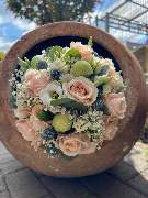 Kitzinger Blumen und Pflanzen - GALLERY