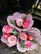 Kitzinger Blumen und Pflanzen - GALLERY