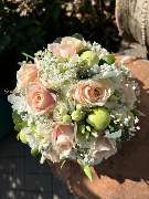 Kitzinger Blumen und Pflanzen - GALLERY