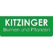 Kitzinger Blumen und Pflanzen - LOGO