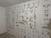 Klar&Frei - IMG_0219.jpeg