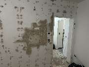 Klar&Frei - IMG_0220.jpeg