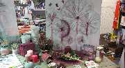 Klatschmohn
