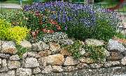 Klein Gartengestaltung & Landschaftsbau - GALLERY