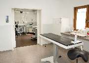 Kleintierpraxis am Loderhof Sulzbach-Rosenberg Tierarzt und Überweisungspraxis - GALLERY