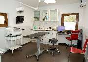 Kleintierpraxis am Loderhof Sulzbach-Rosenberg Tierarzt und Überweisungspraxis - GALLERY