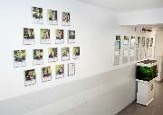 Kleintierpraxis am Loderhof Sulzbach-Rosenberg Tierarzt und Überweisungspraxis - GALLERY