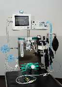 Kleintierpraxis am Loderhof Sulzbach-Rosenberg Tierarzt und Überweisungspraxis - GALLERY