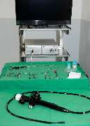 Kleintierpraxis am Loderhof Sulzbach-Rosenberg Tierarzt und Überweisungspraxis - GALLERY