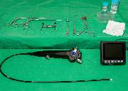 Kleintierpraxis am Loderhof Sulzbach-Rosenberg Tierarzt und Überweisungspraxis - GALLERY