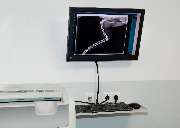 Kleintierpraxis am Loderhof Sulzbach-Rosenberg Tierarzt und Überweisungspraxis - GALLERY