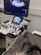 Kleintierpraxis DOCPOX Hannover - GALLERY