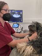 Kleintierpraxis DOCPOX Hannover - GALLERY