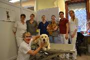 Kleintierpraxis Dr. A. Ranzinger - GALLERY