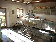 Kleintierpraxis Dr. Sylvia Lahr - GALLERY