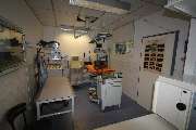Kleintierpraxis Eckhard Bürgener Tierarzt - 7