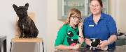 Kleintierpraxis Köln Urbach Elke Schüffelgen - Kleintierpraxis Köln Urbach Elke Schüffelgen