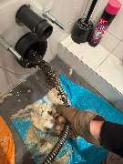 Klempner in Düsseldorf - GALLERY