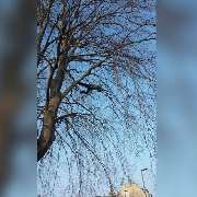 Klettermaxe Nord - 4