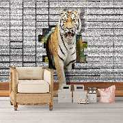KN-COLLECTION - GALLERY