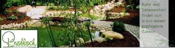 Knobloch Garten und Landschaftsbau - 2