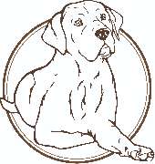 KnowWau Mobile Hundeschule - GALLERY