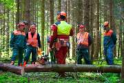 KoBi Forest-Marketing Inh. Jörg Koch e.K. - GALLERY