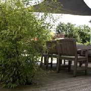 Köber GmbH Garten- und Landschaftsbau - GALLERY