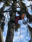 Kölner Hausmeisterdienst Frank Reuter - GALLERY