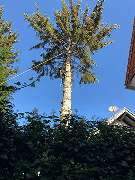 Kölner Hausmeisterdienst Frank Reuter - GALLERY